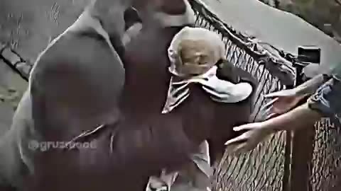 Only a mother can truly understand another mother.❤️