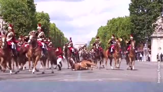 Bastille Day in France — Perfect Chance to Cut Off Your Ear or Fall Off a Horse