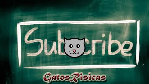Gatunos Graciosos