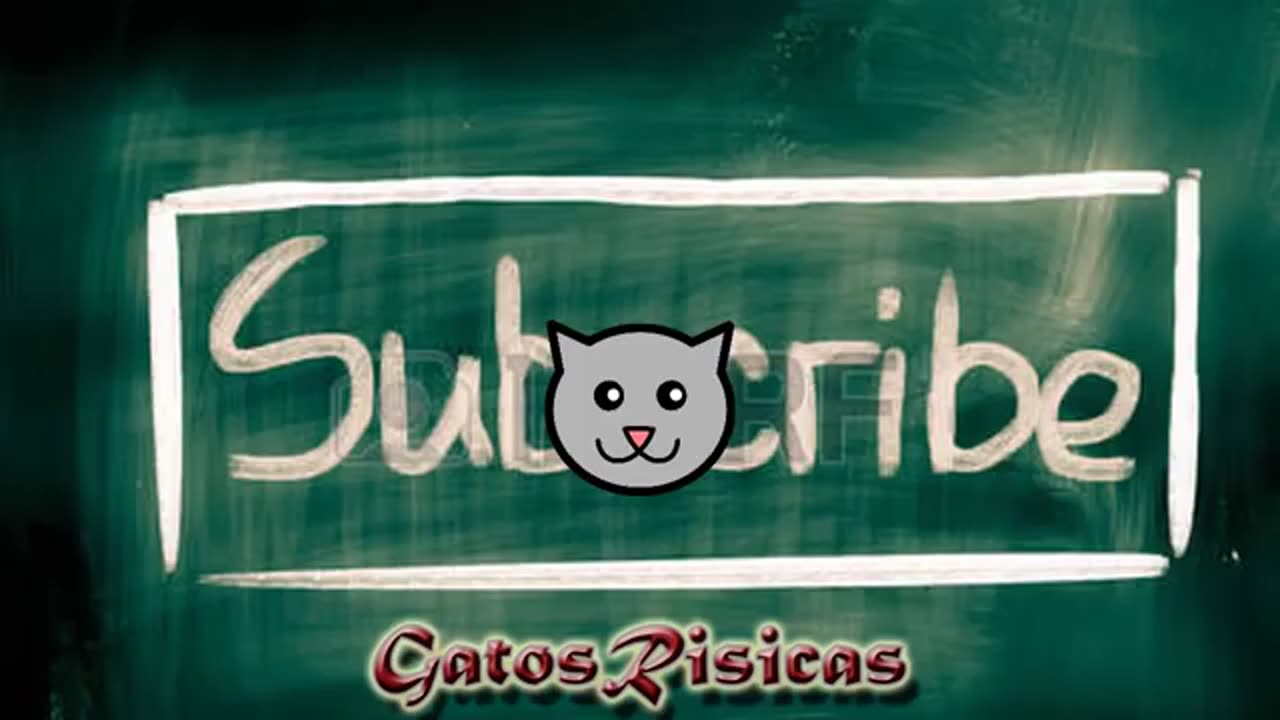 Gatunos Graciosos