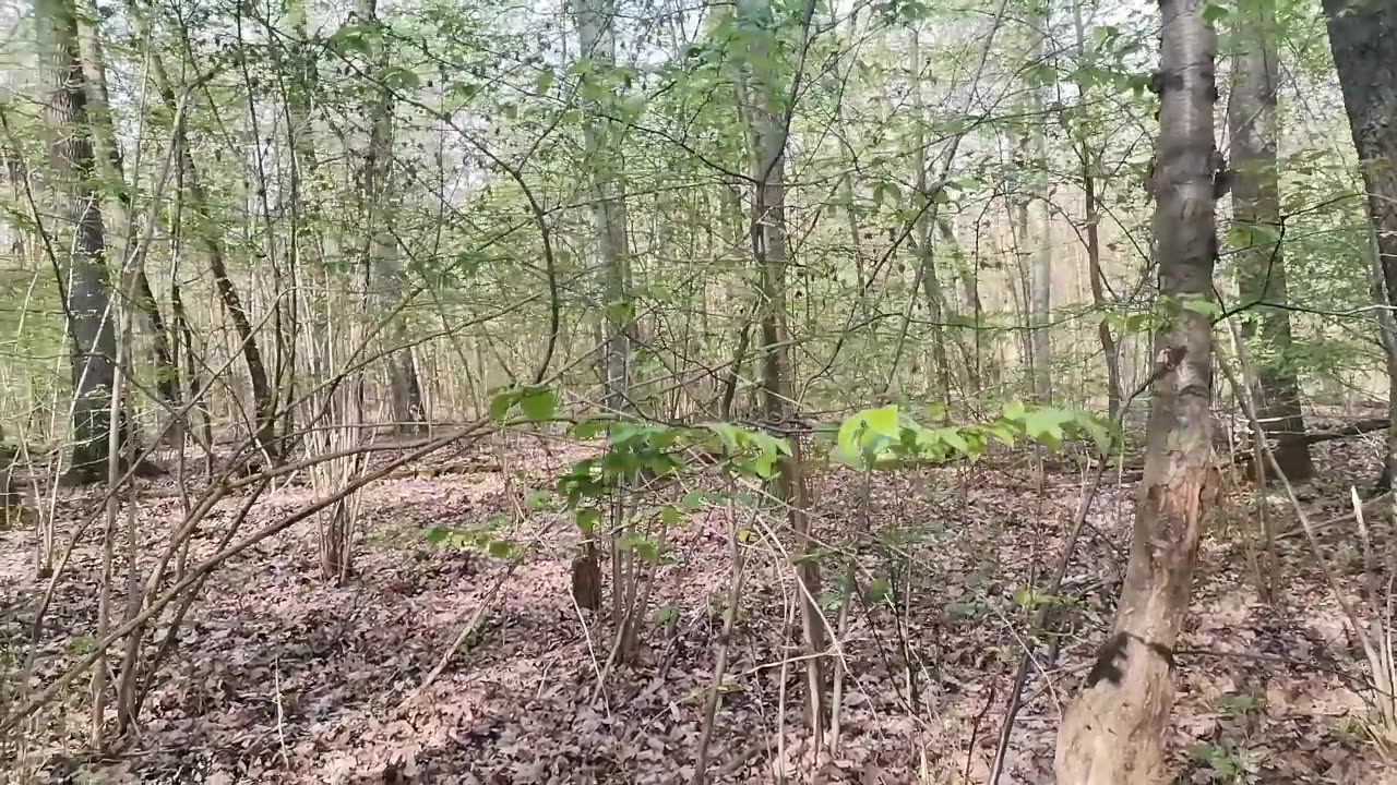 a co z moją uwagą ?? ...