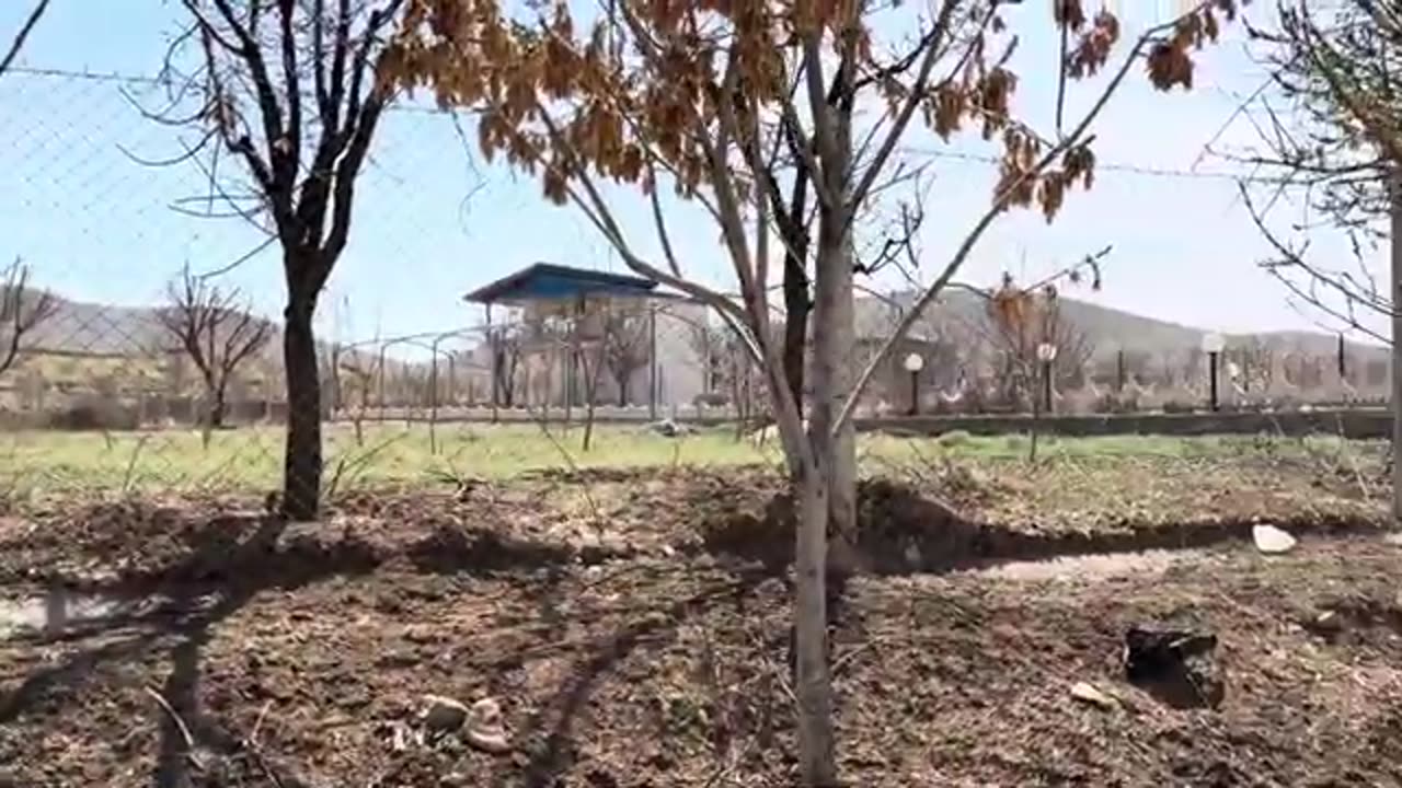 Traditional Cooking For Nomadic Life of Iran : Unique Recipe with Vegetables
