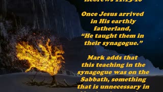 Matthew 13:54 - Daily Bible Verse Commentary