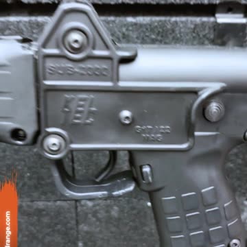 Kel-Tec Sub 2000 #WestPalmBeach #Keltec #Sub2000 #GunsandRange