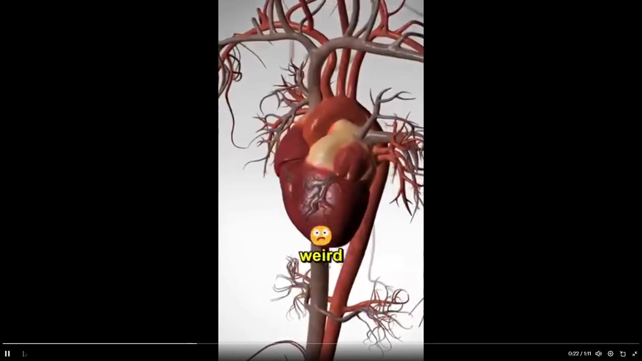 You might need magnesium: Common signals that your body needs magnesium