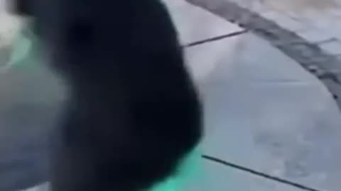 🤣🌊 You Won't Believe This Fountain's Sneaky Move! | FunFM