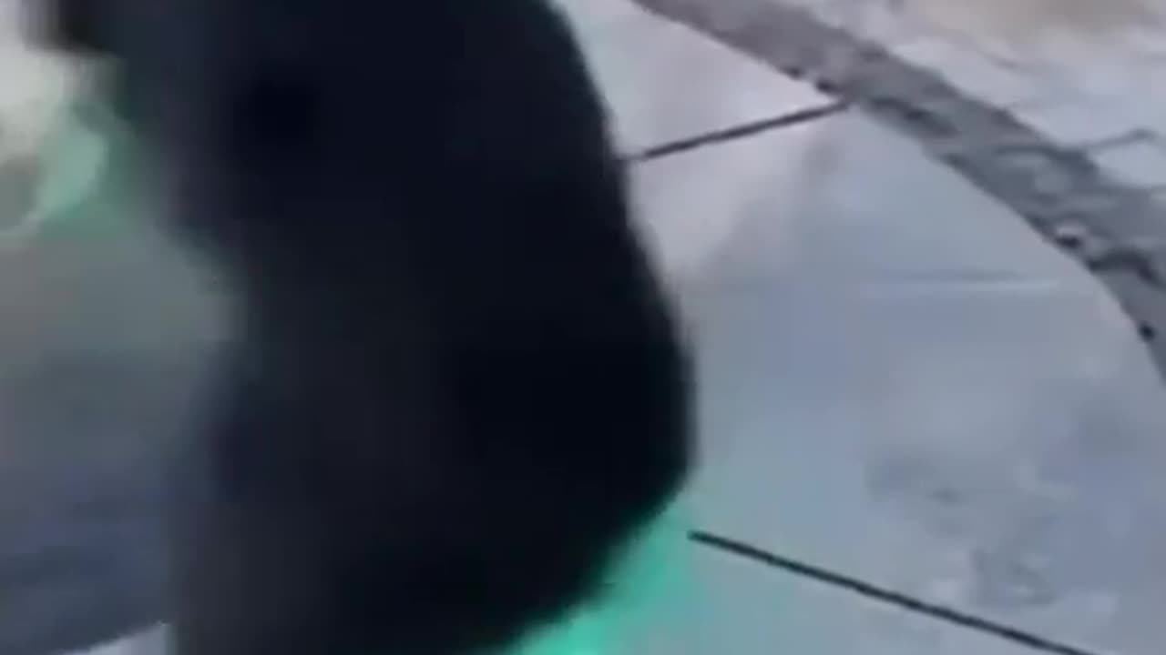 🤣🌊 You Won't Believe This Fountain's Sneaky Move! | FunFM