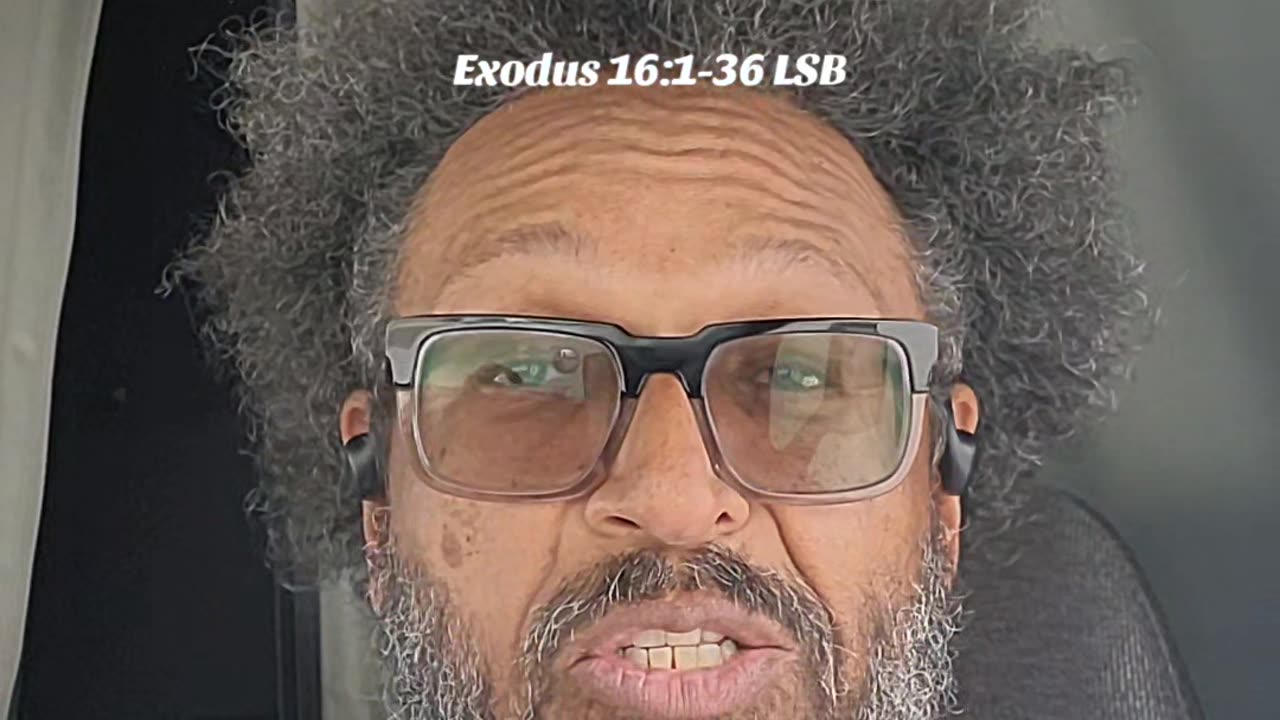 Exodus 16:1-36 LSB