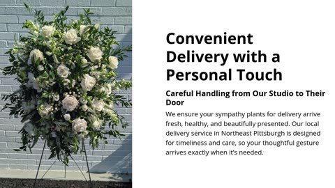 Heartfelt Sympathy Plants for Delivery