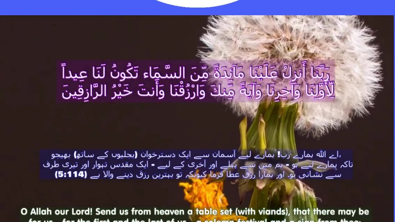 40 Rabbana Duas (Dua no 19)