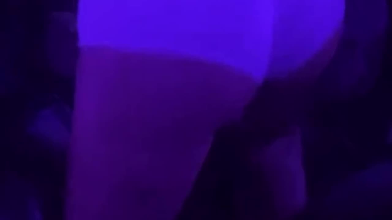 Erie Compilation 2025