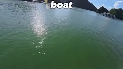 😂🚣‍♂️ You Won't Believe This Backwards Paddle Fail! | FunFM