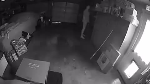 Skinwalker DISGUISED as DOG