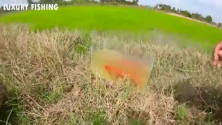 Luxury Fishing