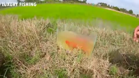 Luxury Fishing