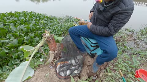 Lamprey Haunts the Rivers Edge