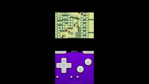 Pokémon Emerald Gameplay (6)