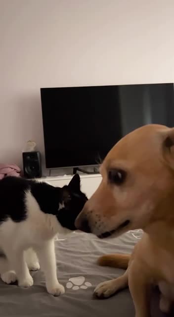 Awkward first meeting