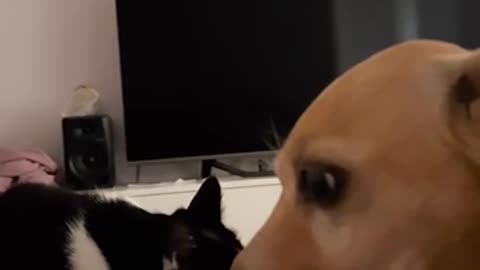 Awkward first meeting