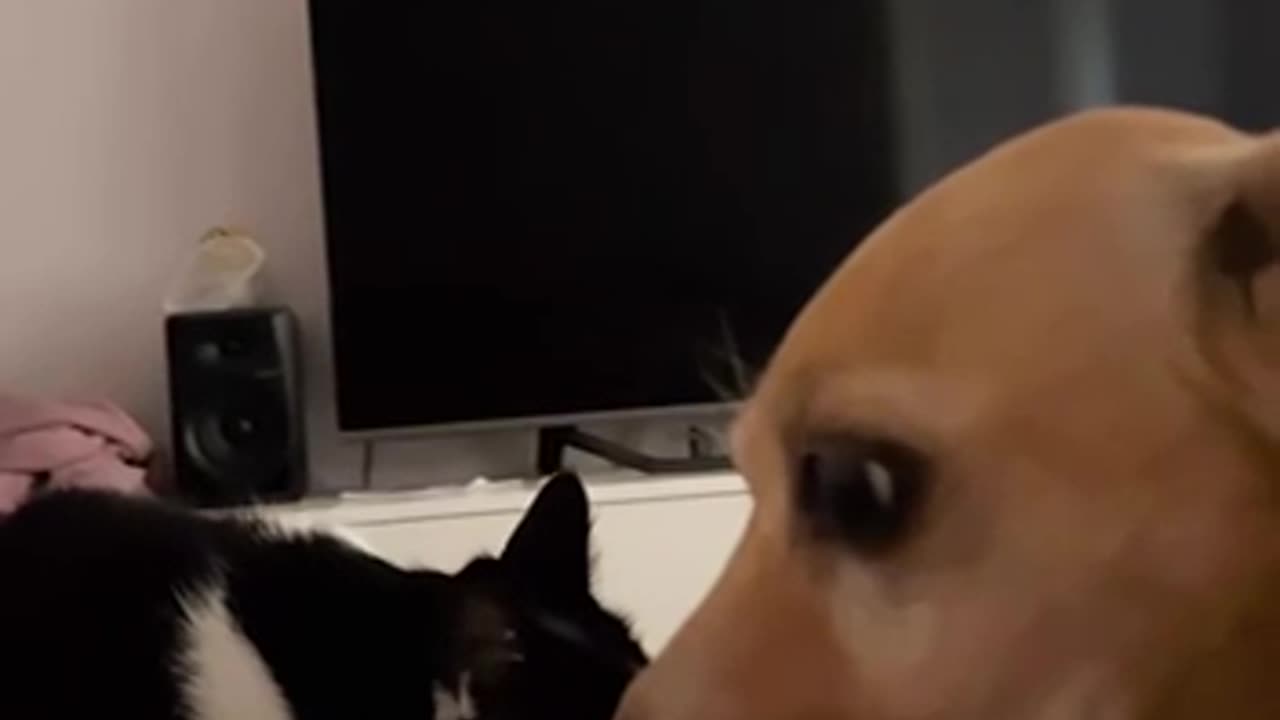 Awkward first meeting
