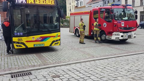 Europejski Dzień bez Samochodu - piknik, gra miejska, bezpłatne sadzonki drzewek