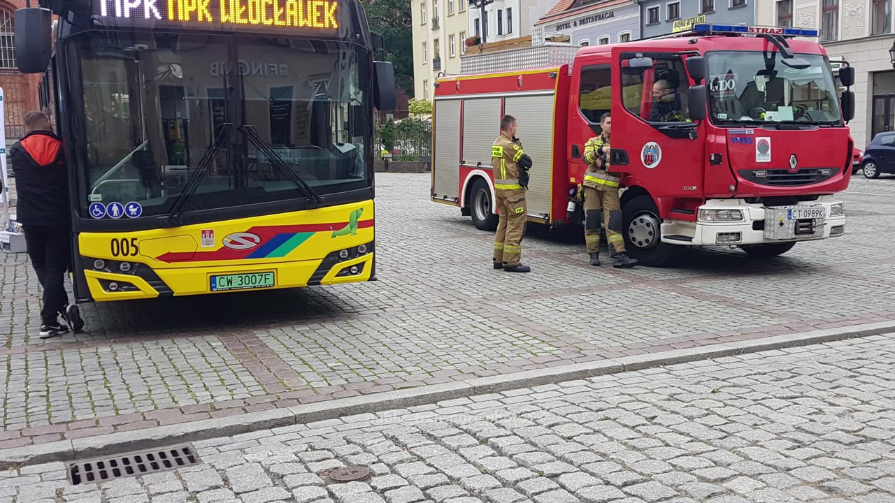 Europejski Dzień bez Samochodu - piknik, gra miejska, bezpłatne sadzonki drzewek