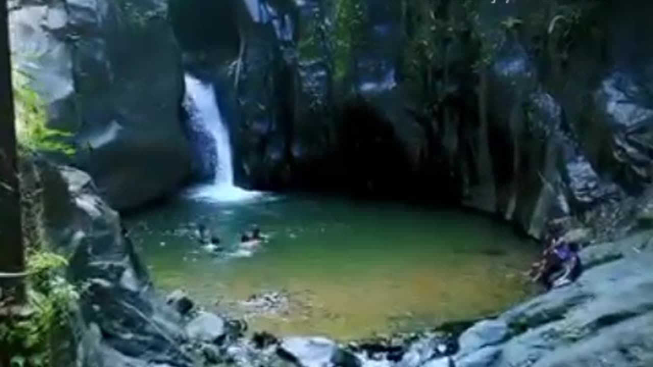 Nature video