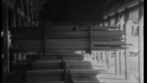 BLISTER RUST--A MENACE TO WESTERN TIMBER - BLISTER RUST--A MENACE TO WESTERN TIMBER - 33-224-r1