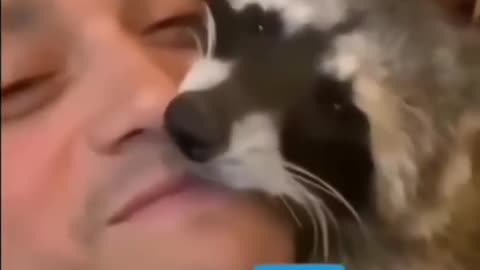 🦝🗣 Raccoon Talks! This Video is Hilarious! | FunFM