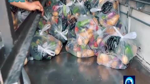 Fighting Between Hezbollah and the Israeli Military Along the Southern Lebanese Border