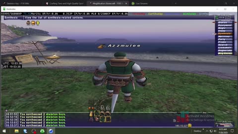 Playing Final Fantasy XI Online