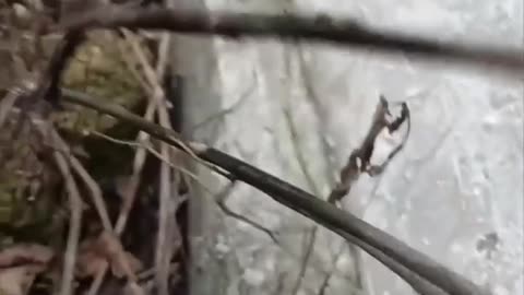 Russian attack aircraft flush out Ukrainian Armed Forces in Kupyansk