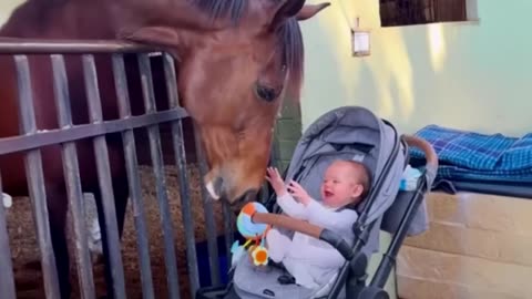 When Animals Sense The Pure Love Surrounding a Baby