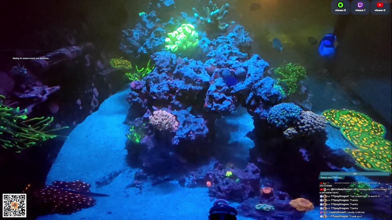 24/7 Real Live Reef Stream