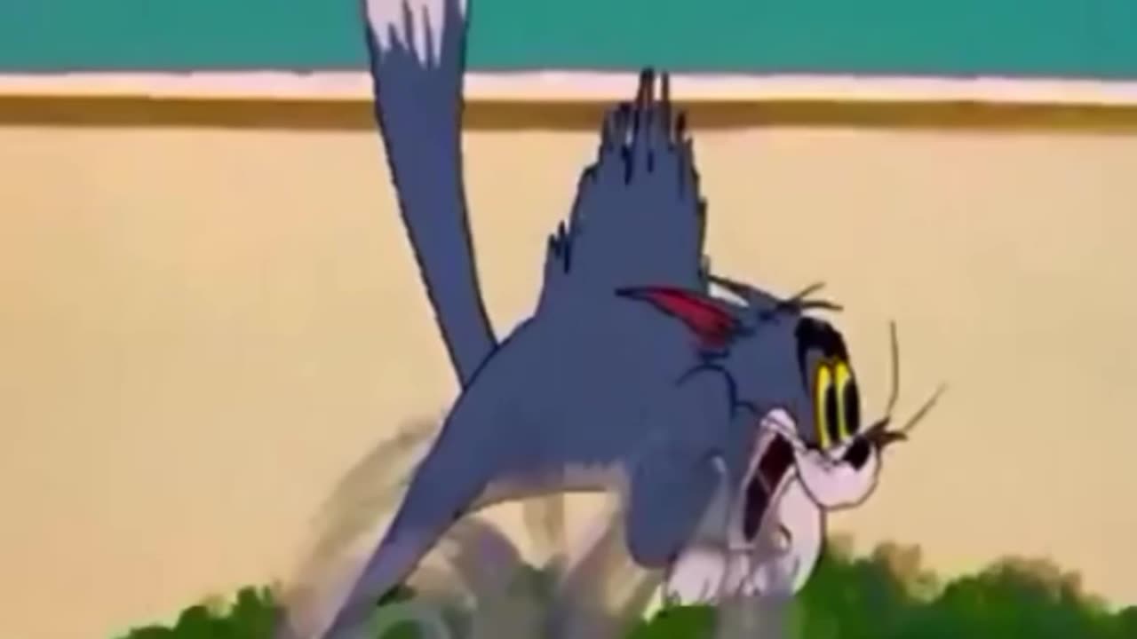 funny funny videos funny jokes funny animals funny memes funny movies funny bone