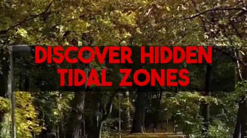 Smart Choices for Solo Northeast National Park Adventures