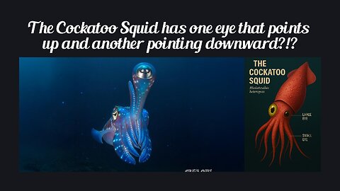 Fun Fact for July 10th 2025 Pt 2