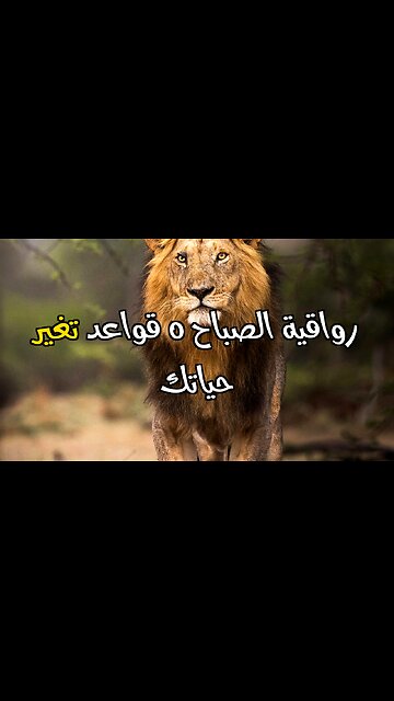 ٥ قواعد صباحية من الرواقية ستغير حياتك!