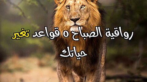 ٥ قواعد صباحية من الرواقية ستغير حياتك!