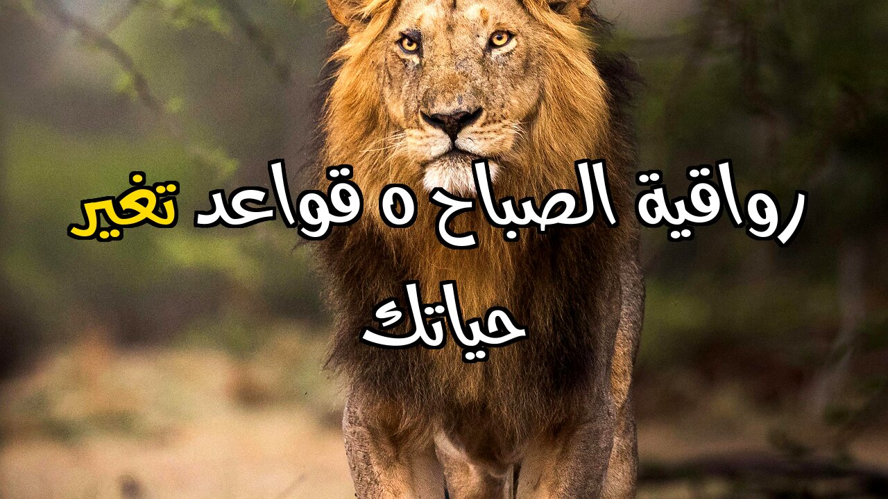 ٥ قواعد صباحية من الرواقية ستغير حياتك!