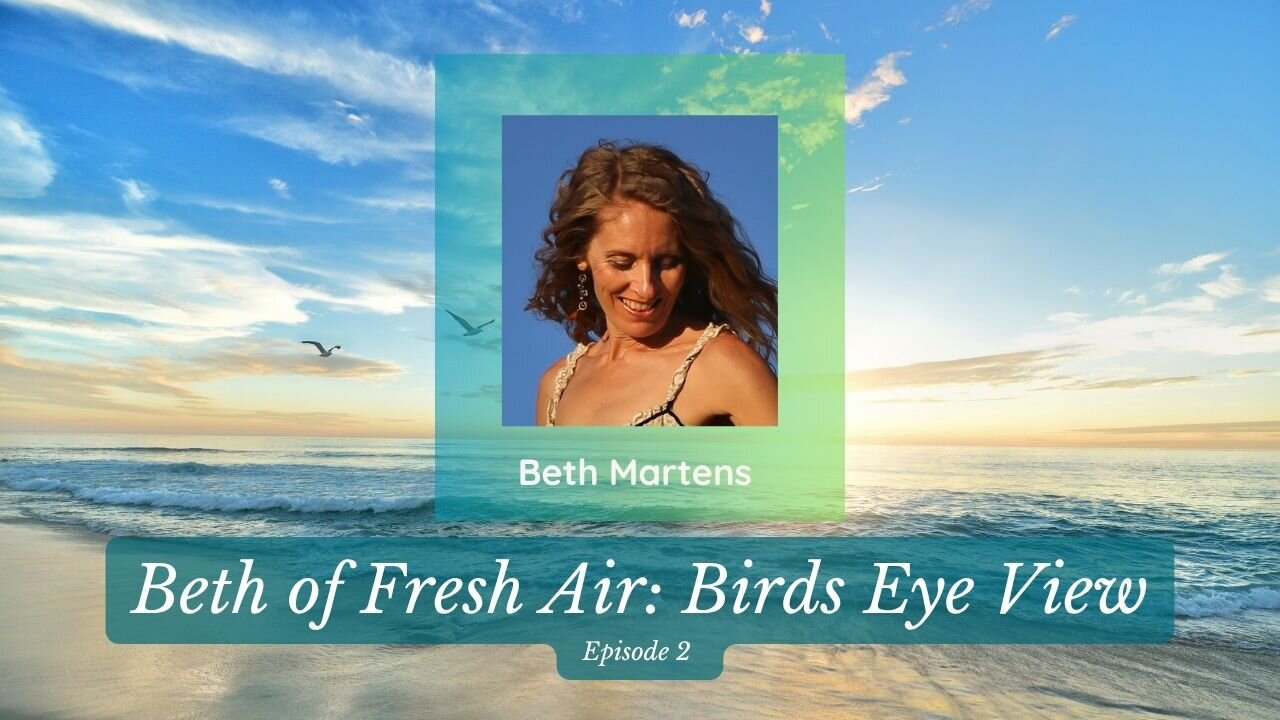 Beth of Fresh Air - Episode 2: Birds Eye View