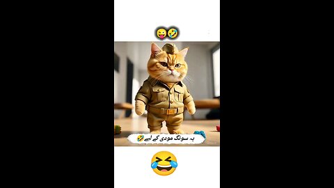 #shorts #cat #catlover #short #youtubeshorts