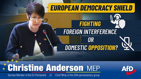 Fighting foreign interference or domestic opposition?