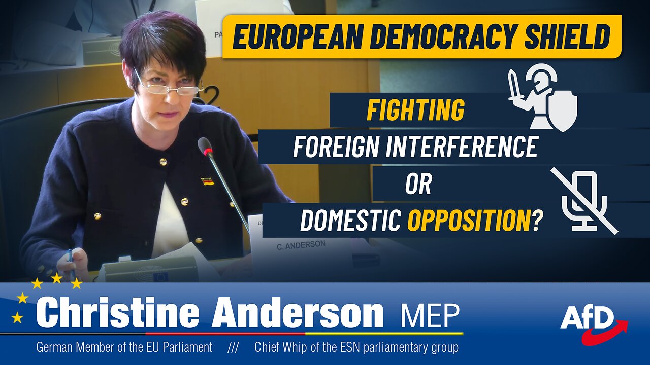 Fighting foreign interference or domestic opposition?