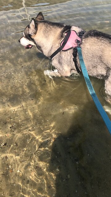 Thursday July 3, Don’t worry about anything.