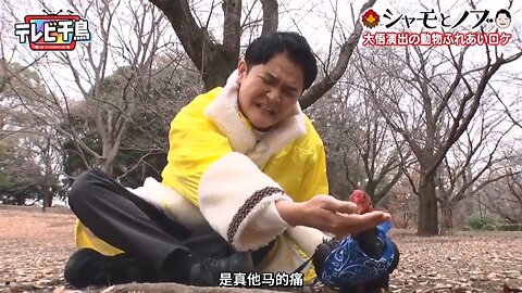 【中字】千鳥電視台 240125 - 鬥雞和nobu
