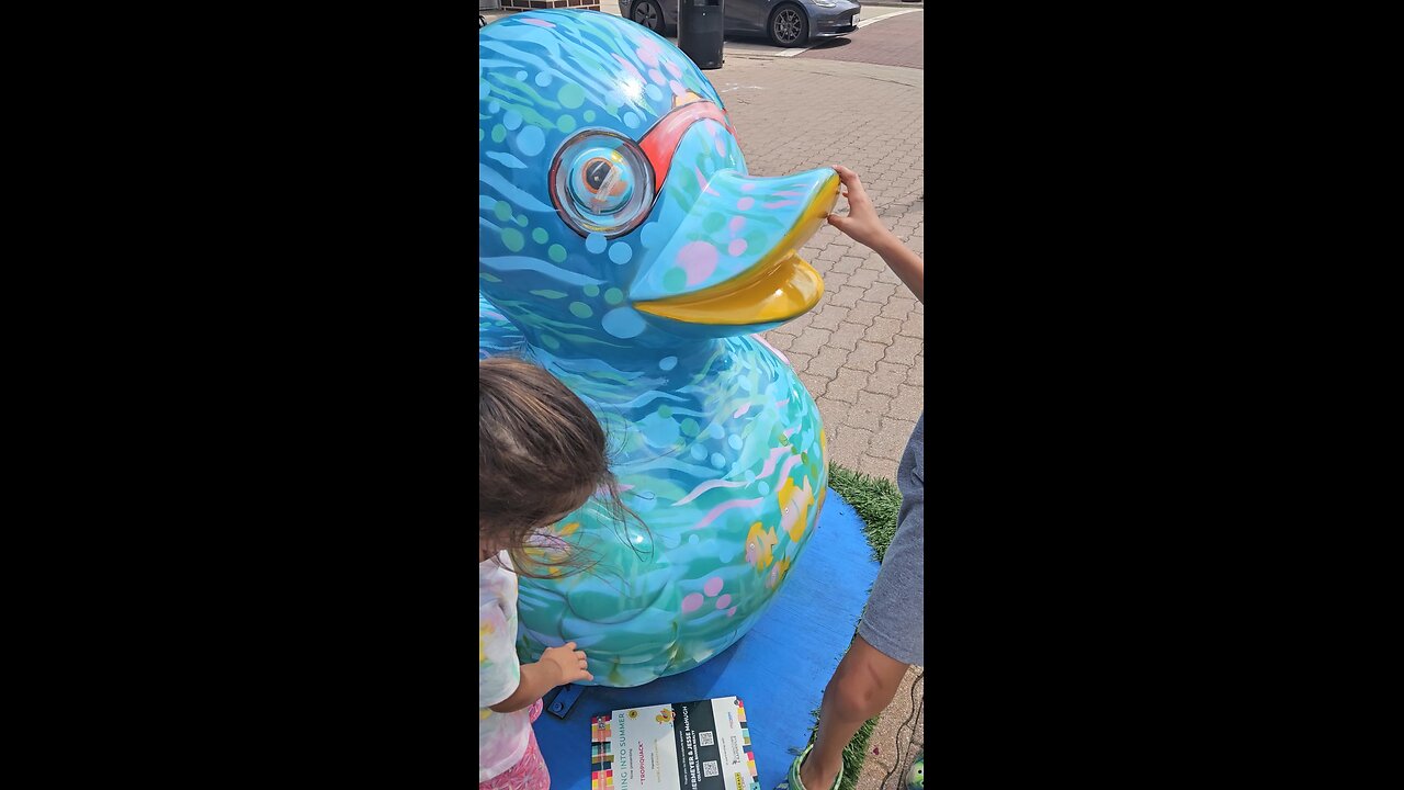 Naperville Ducks 2