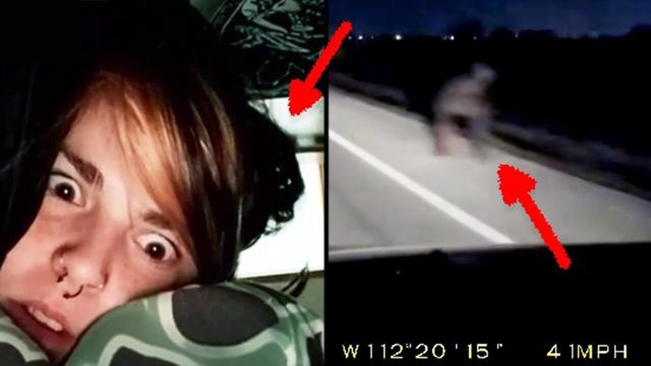 Videos of Strange Creatures and more ..