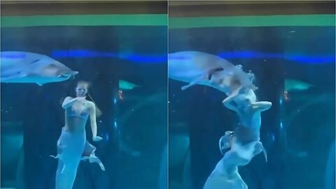 Little mermaid bitten by a giant fish: panic among the children