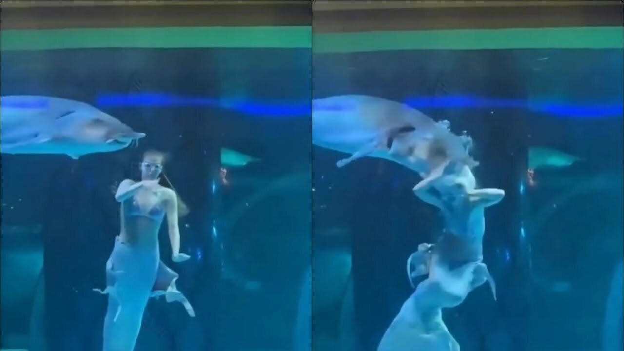 Little mermaid bitten by a giant fish: panic among the children